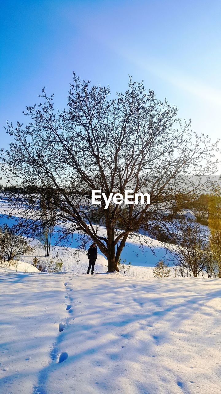 BARE TREE AGAINST SNOW COVERED SKY