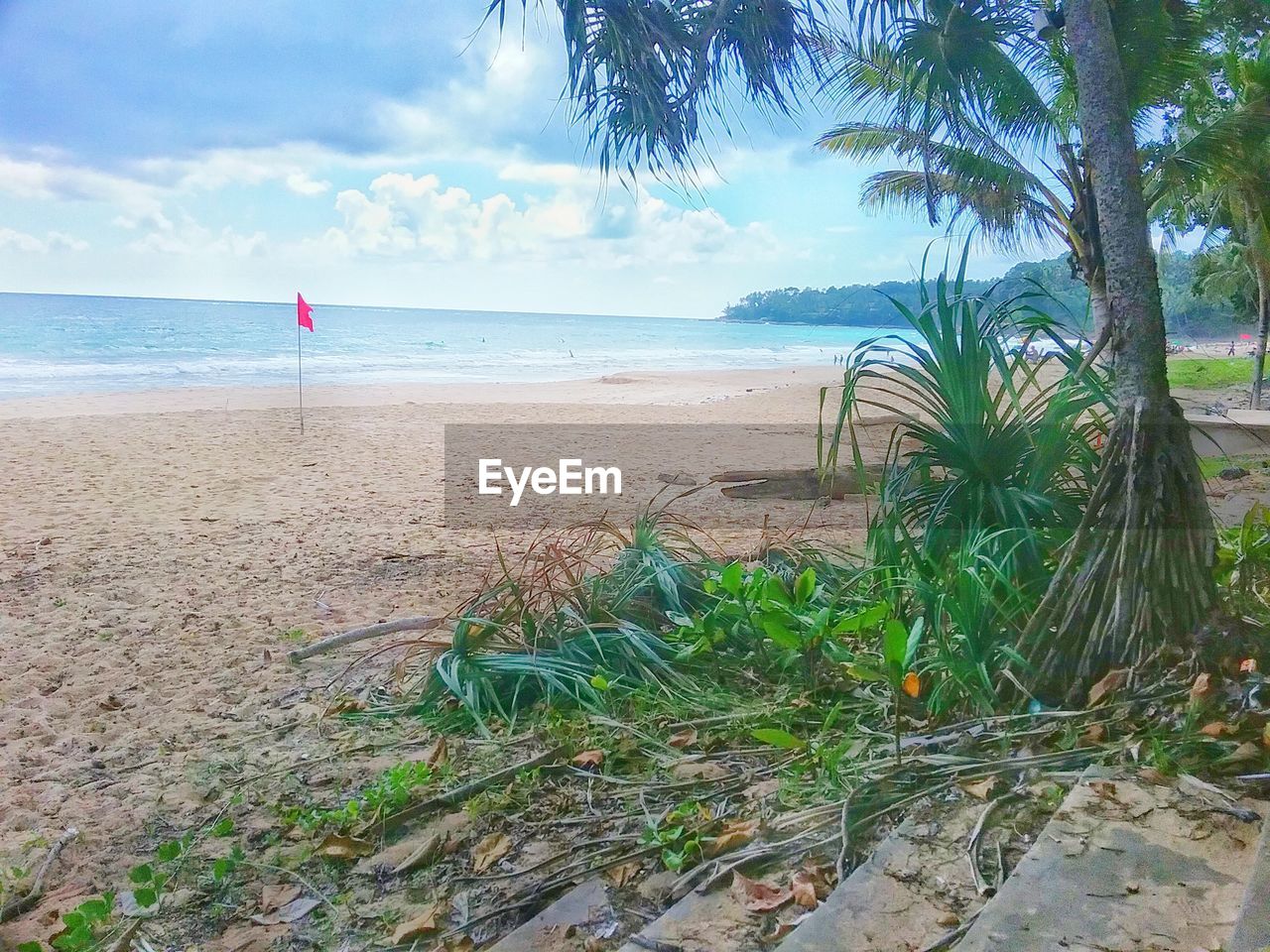 SCENIC VIEW OF BEACH AGAINST SEA