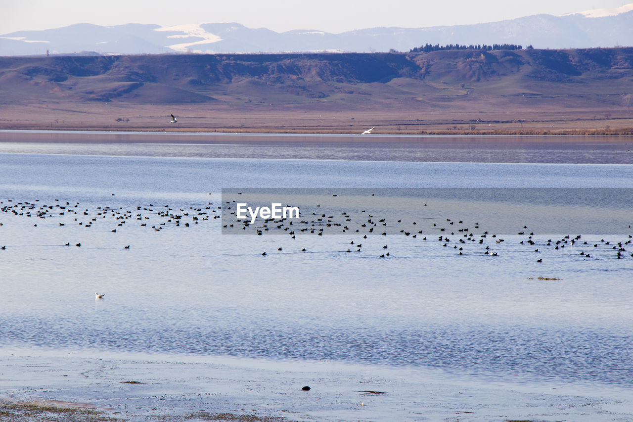 Landscape and view of lake during winter, georgia