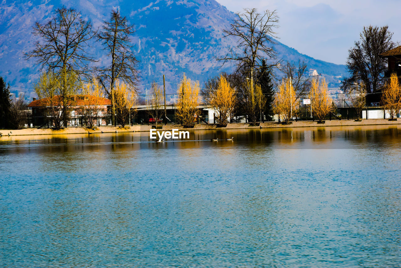 SCENIC VIEW OF LAKE AGAINST TREES