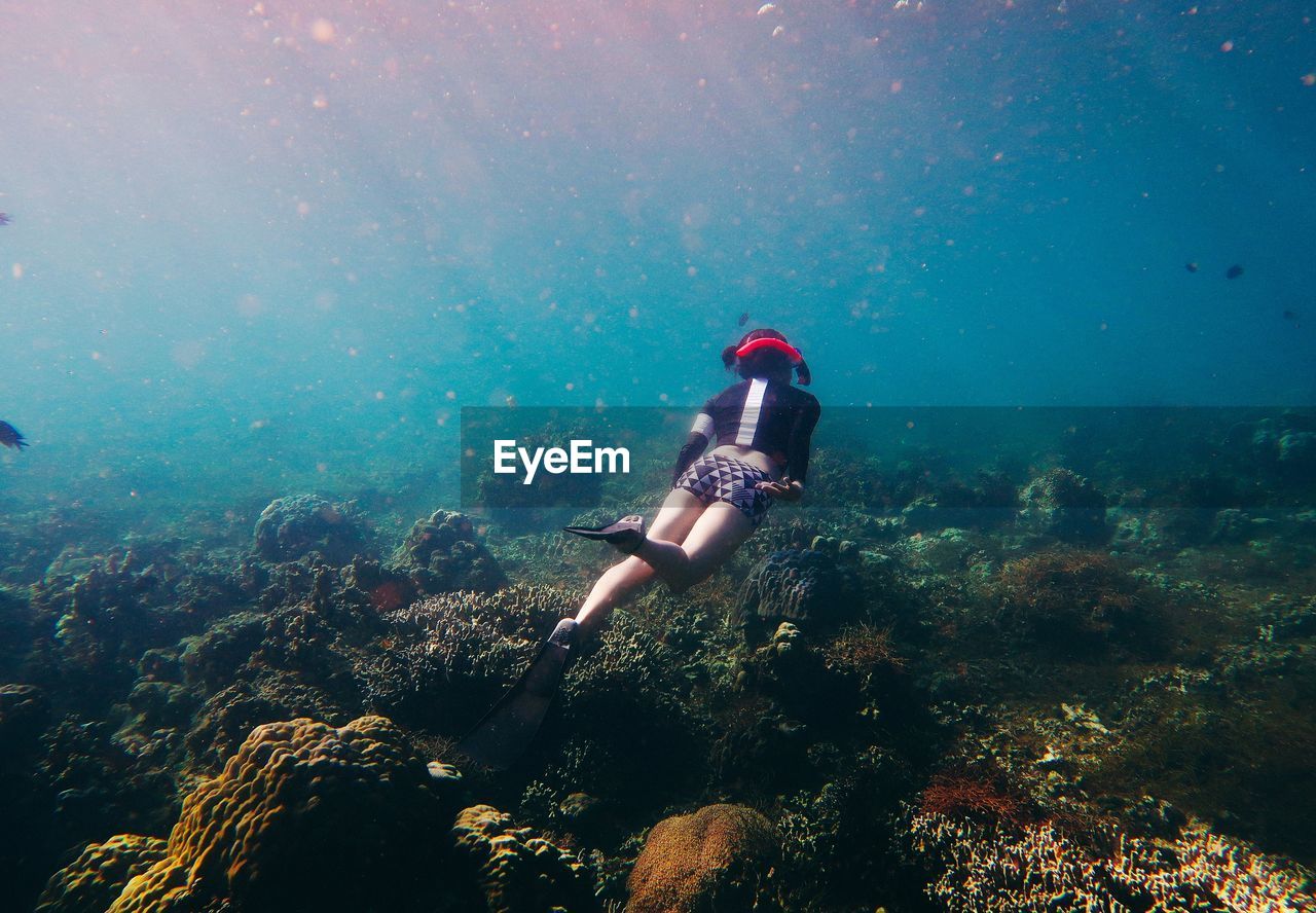 man swimming in sea