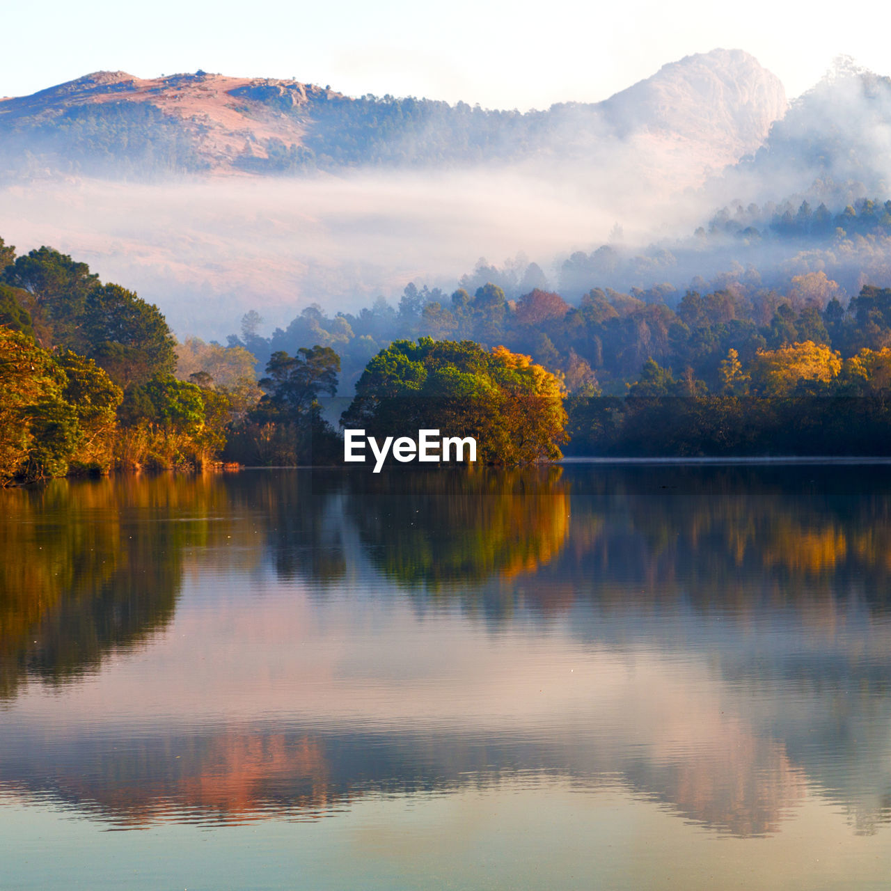 Scenic view of lake by trees against sky