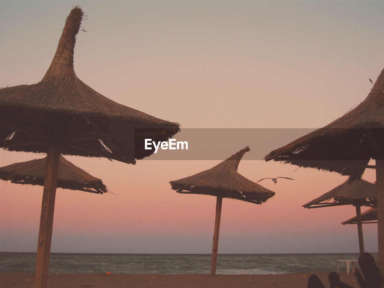 STARFISH ON BEACH AGAINST SKY AT SUNSET