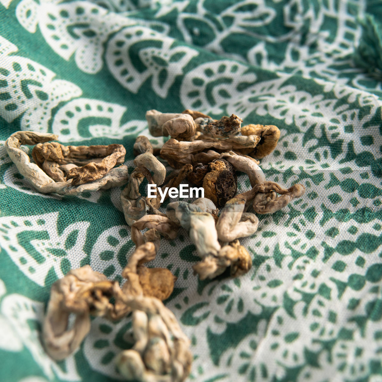 Strains of psilocybin mushrooms close-up