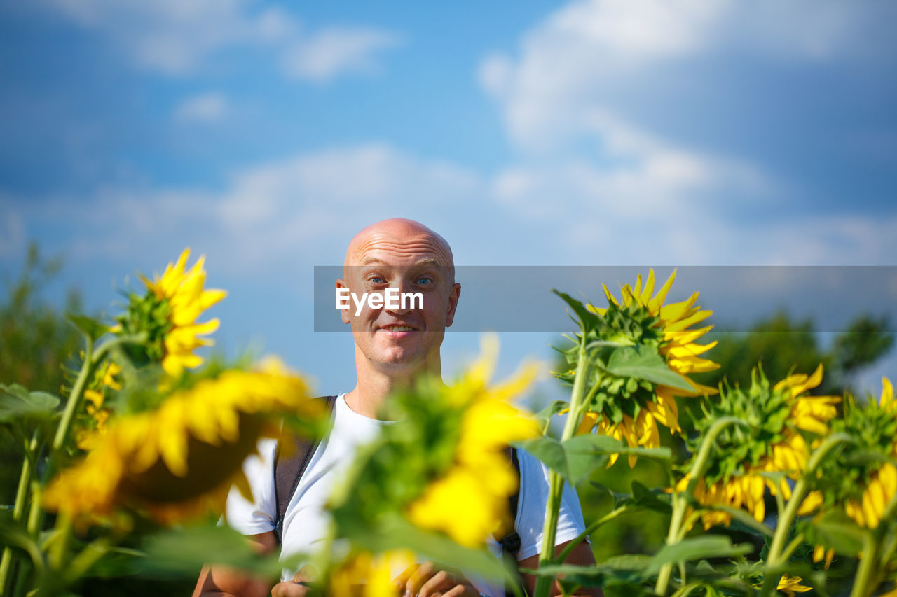 A cheerful bald man in a field of blooming yellow sunflowers against a blue sky stands smiling