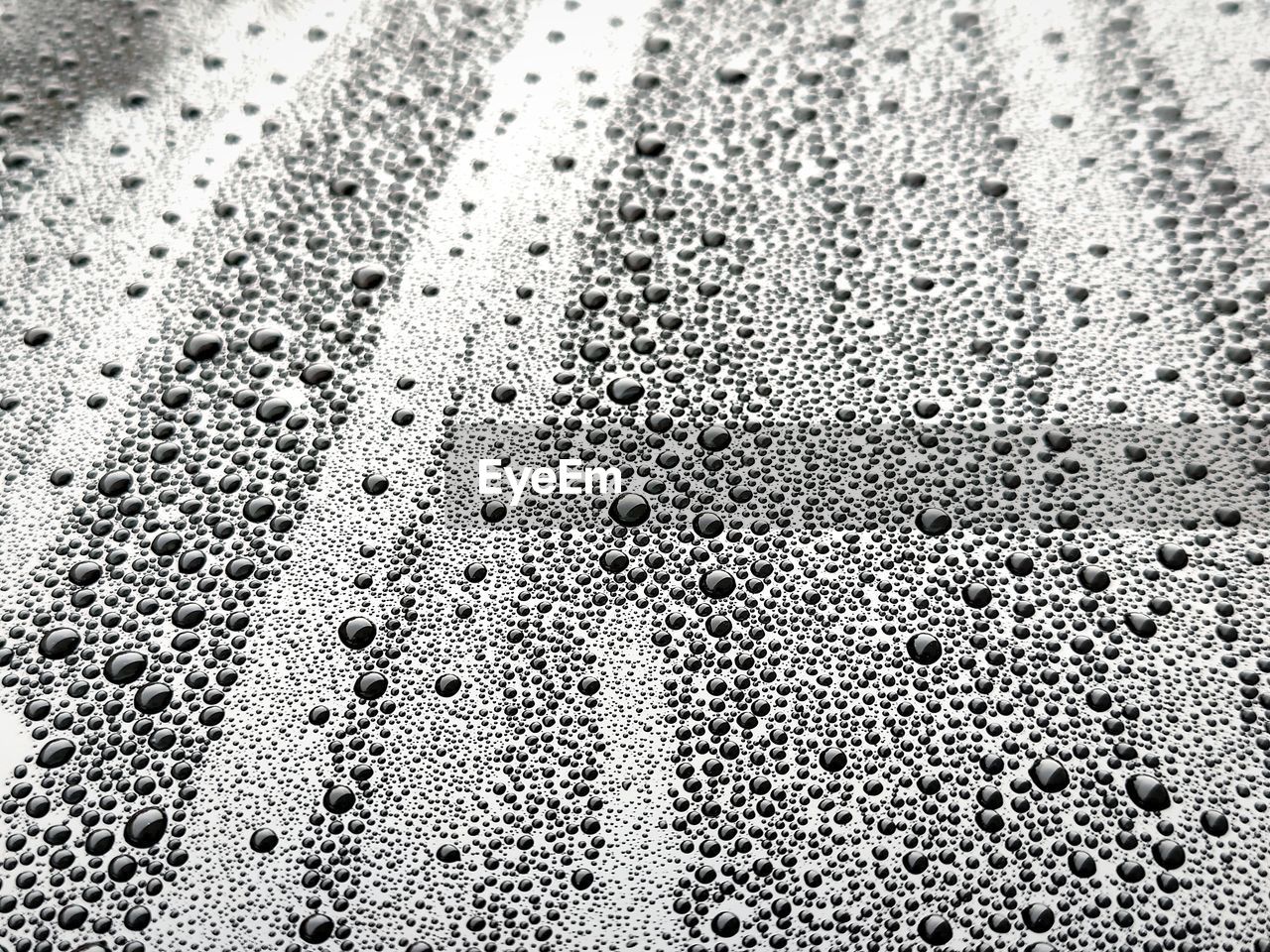 Full frame shot of water drops on black metallic surface