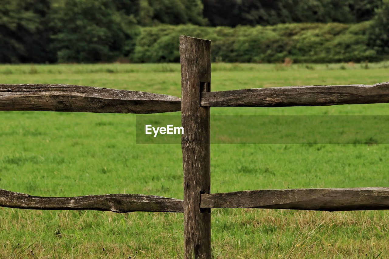 CLOSE-UP OF WOODEN FENCE ON FIELD DURING RAINY SEASON