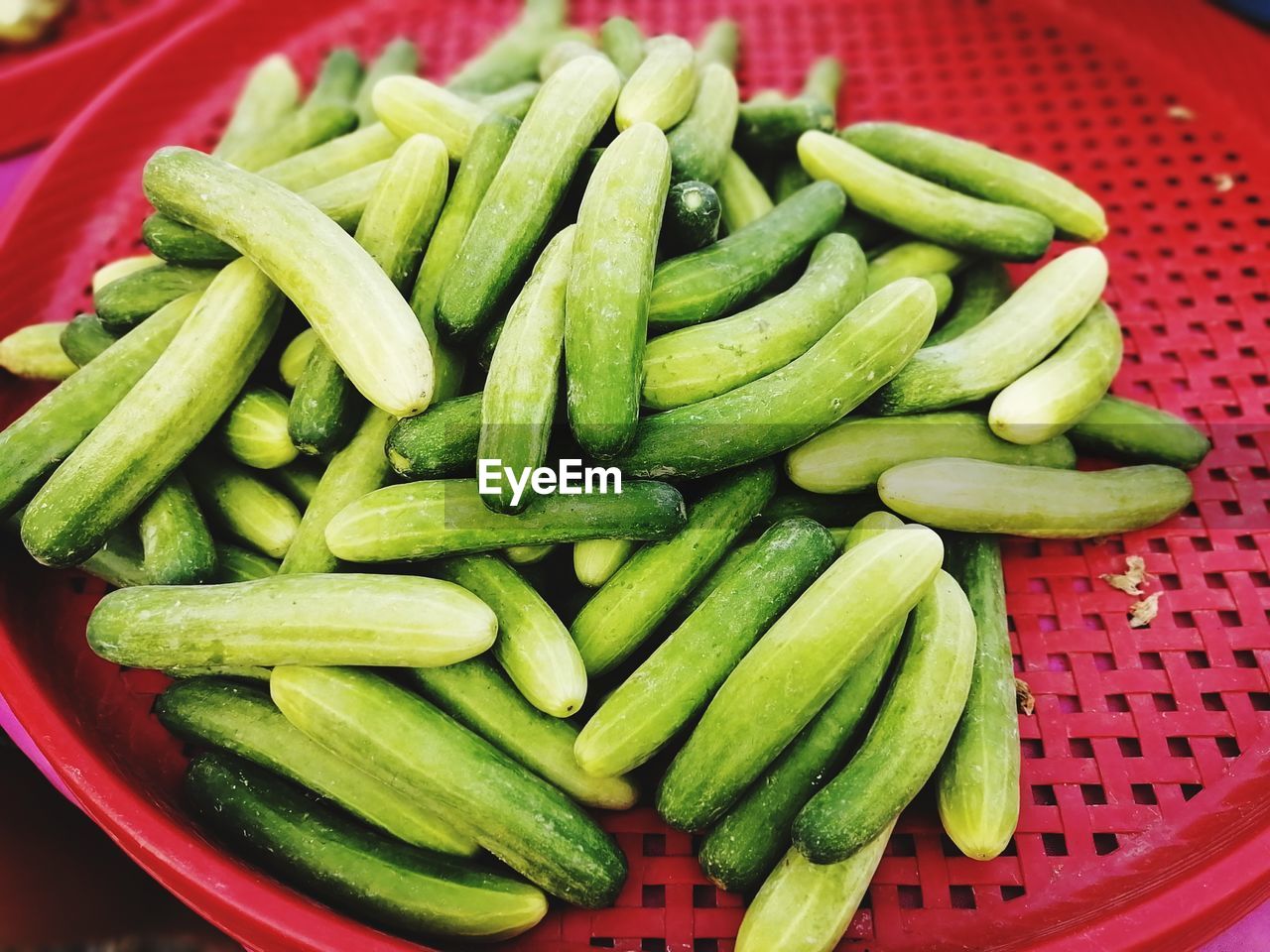 High angle view of vegetables in container