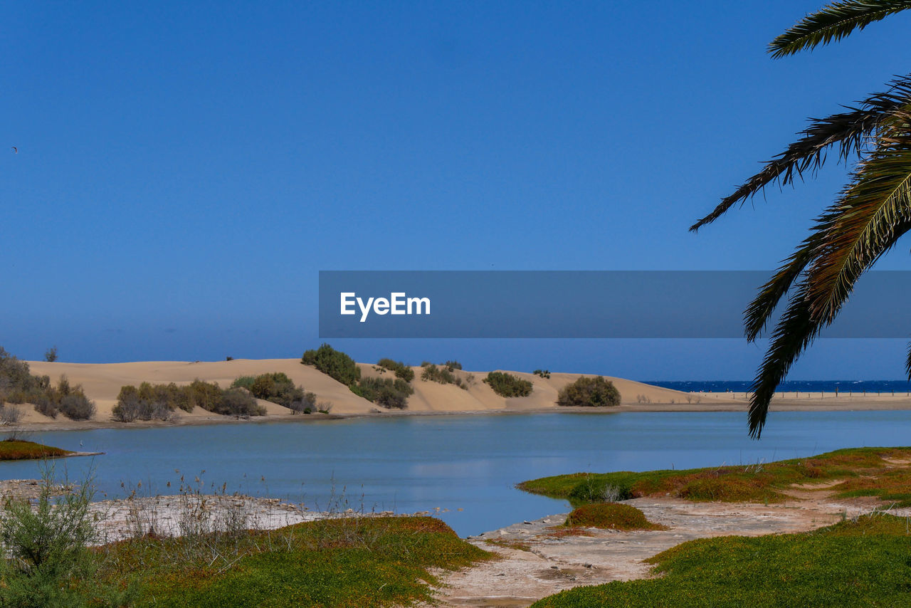 Scenic view of sea against clear blue sky