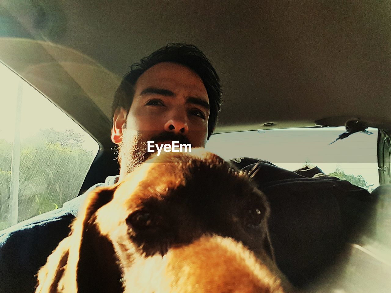 Young man with dog traveling in car