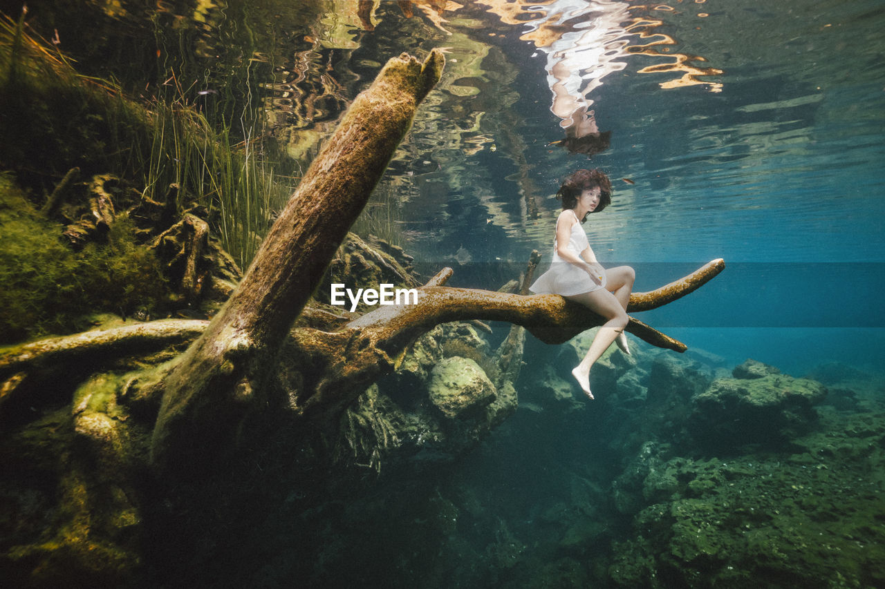 Low angle view of woman sitting on branch underwater