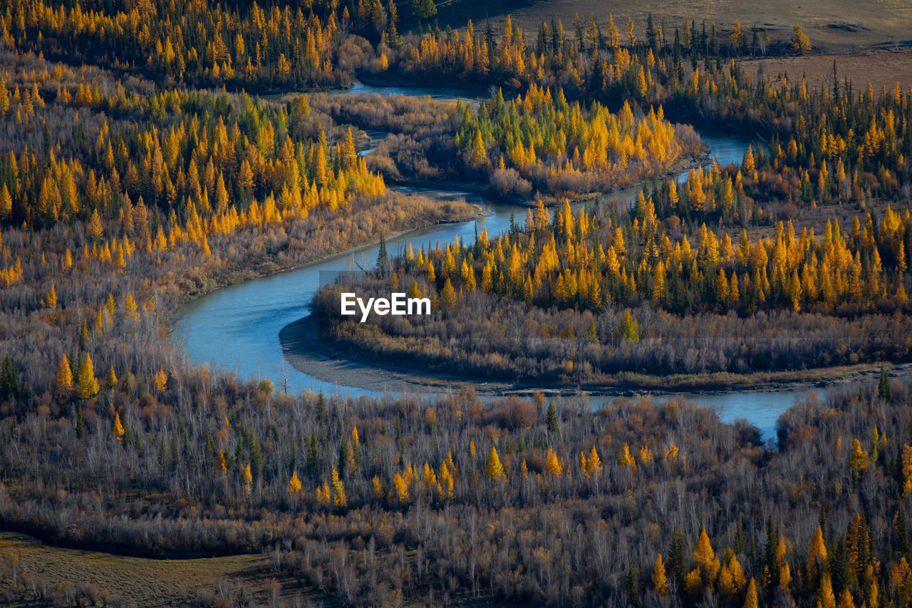 LAKE IN FOREST DURING AUTUMN