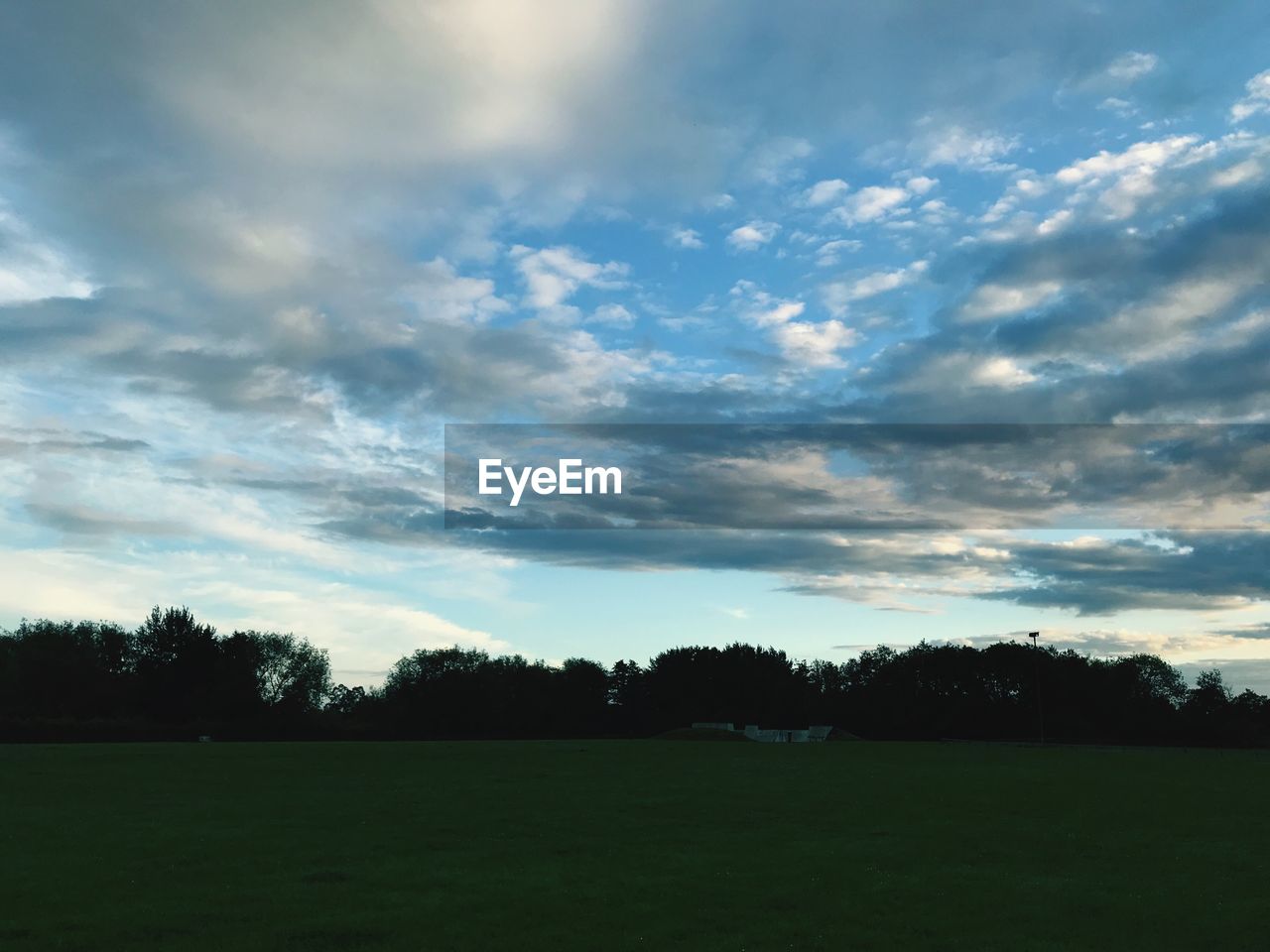 SCENIC VIEW OF TREES ON FIELD AGAINST SKY