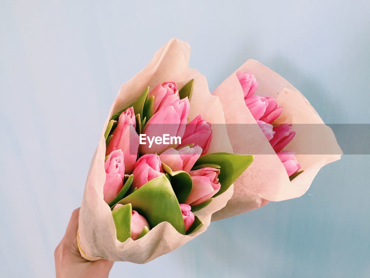 Cropped image of hand holding tulips bouquet against sky