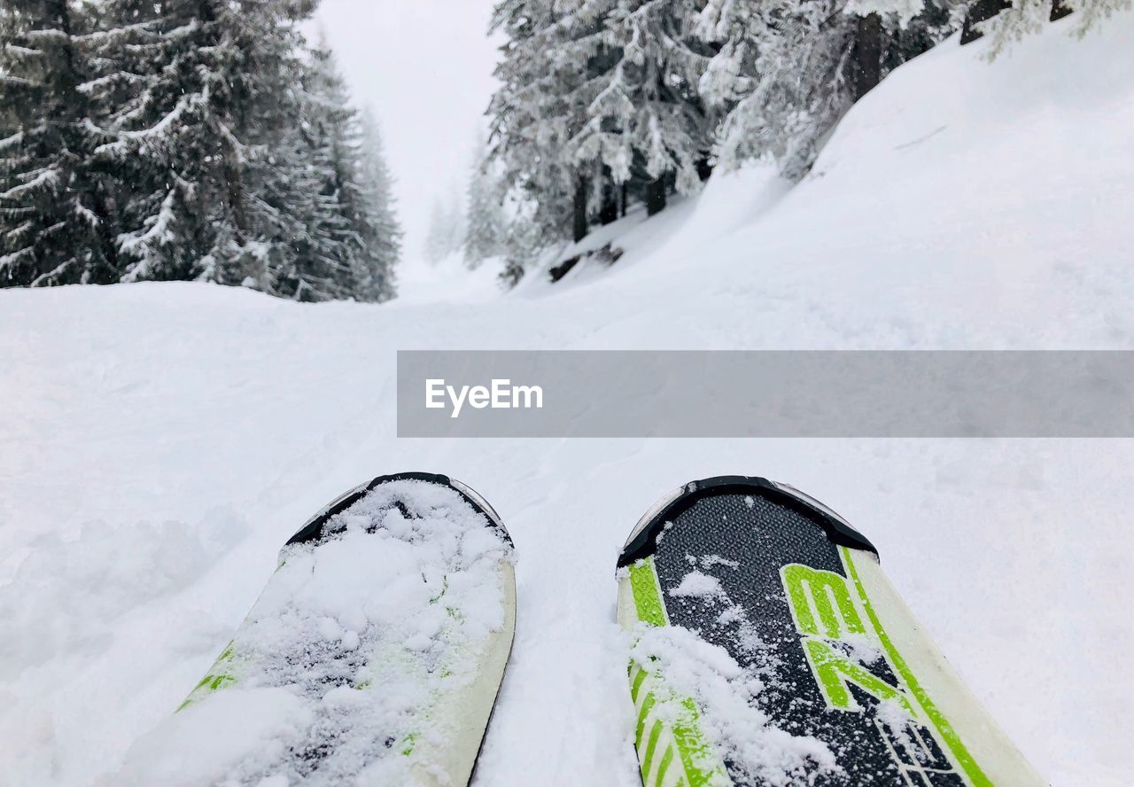 Close up of skis with snowy evergreen forest ahead