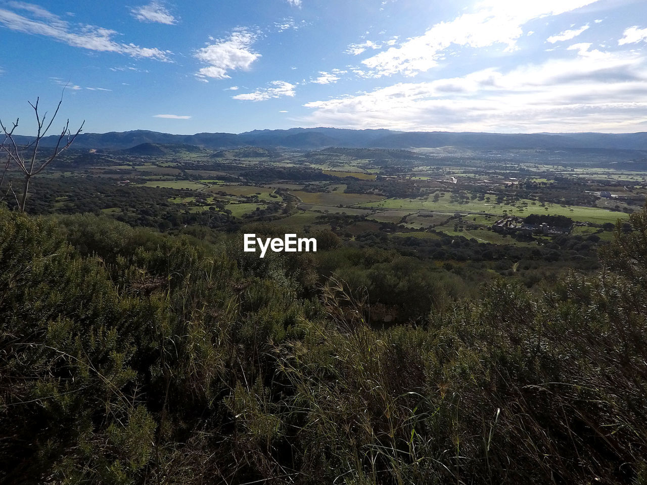 HIGH ANGLE VIEW OF TREES ON LANDSCAPE AGAINST SKY