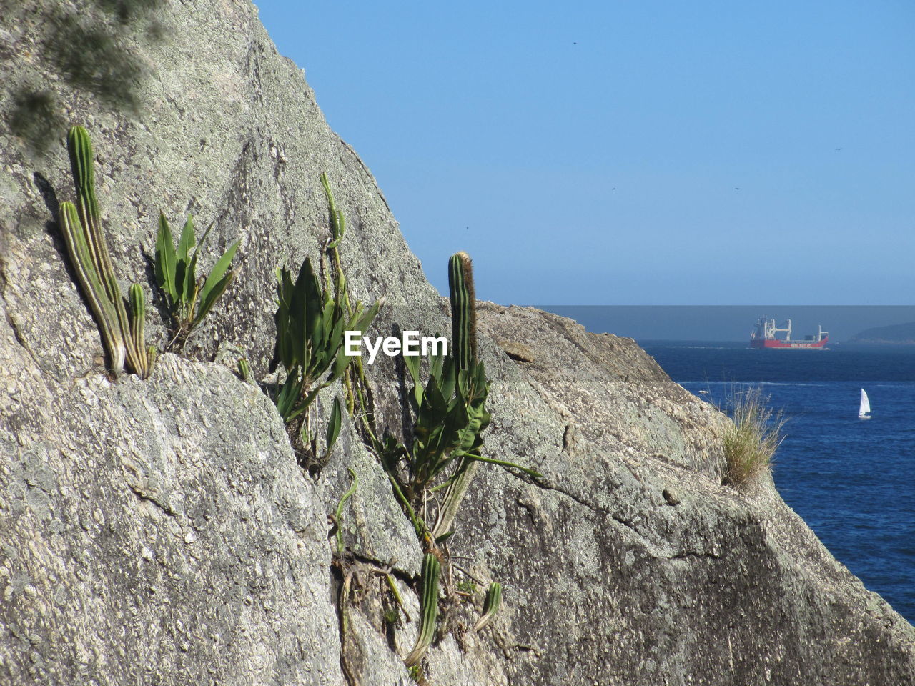 Scenic view of sea against clear sky