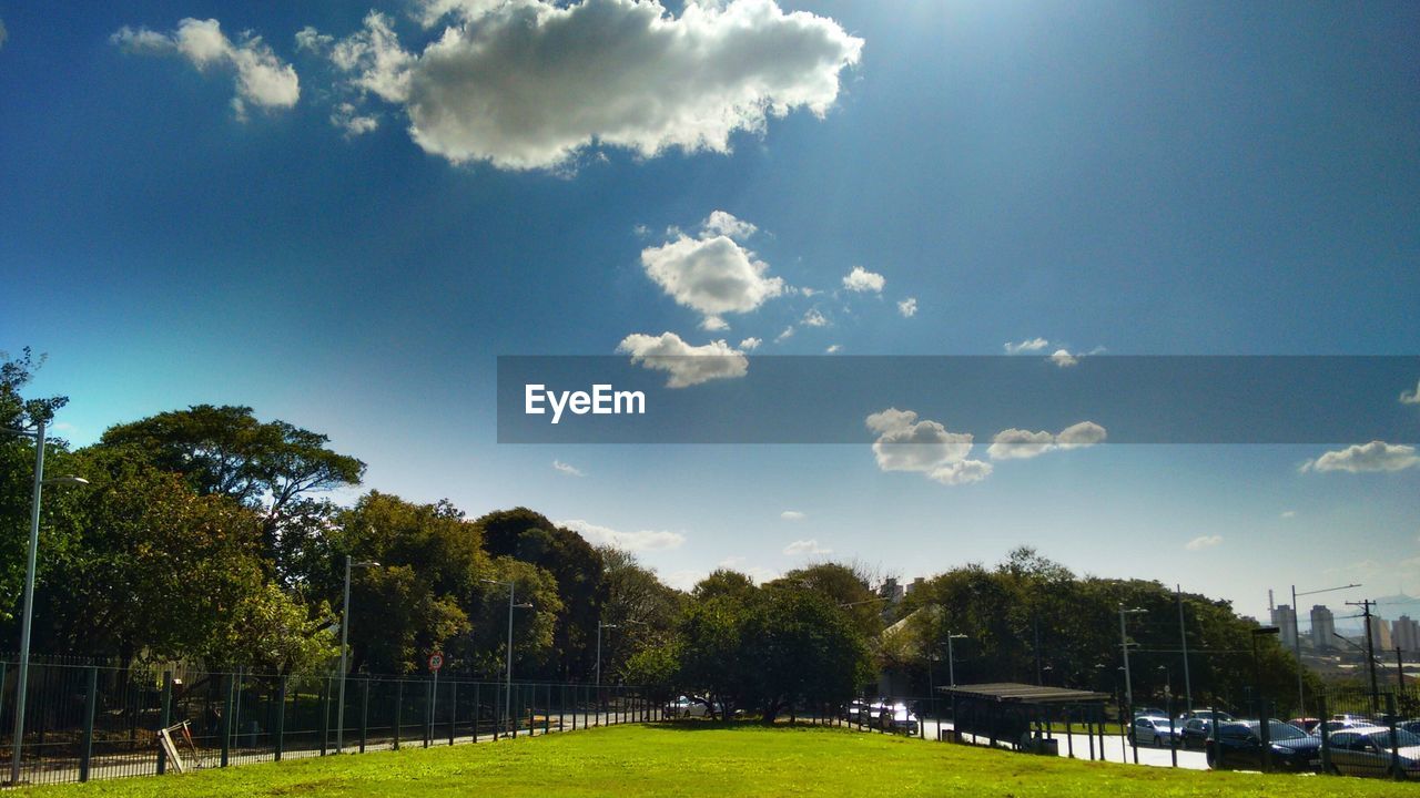 Scenic view of green and trees against sky