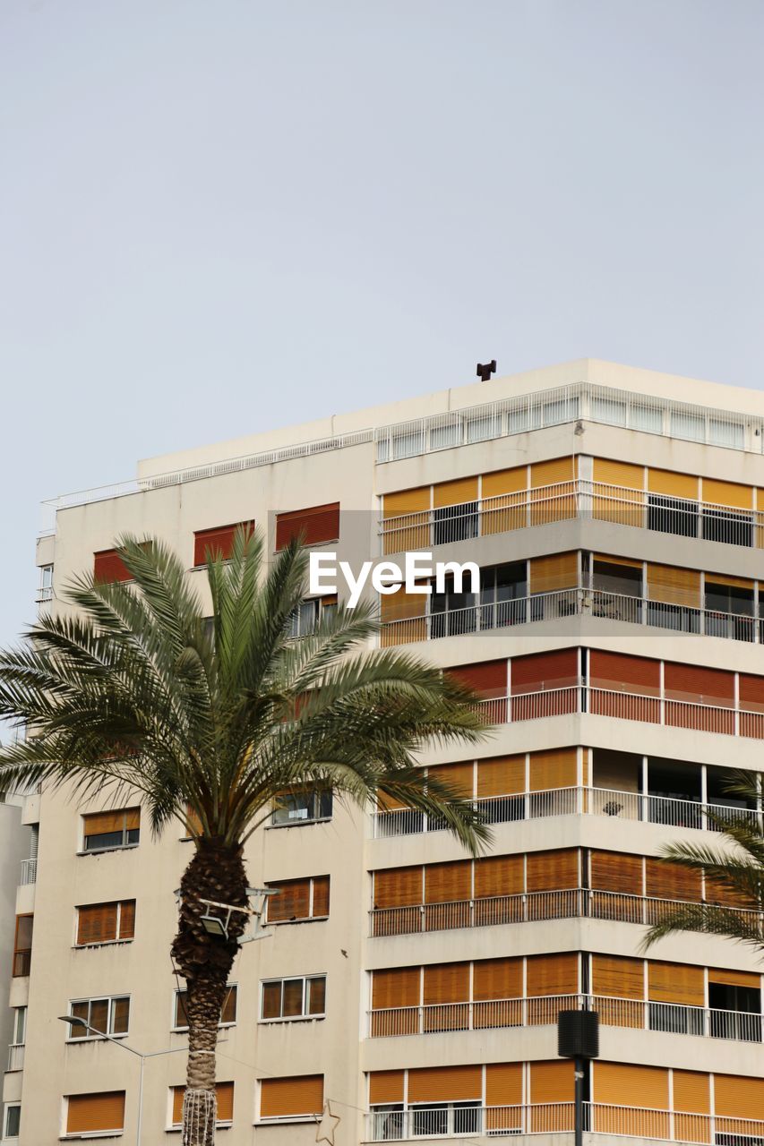 Low angle view of palm tree against sky