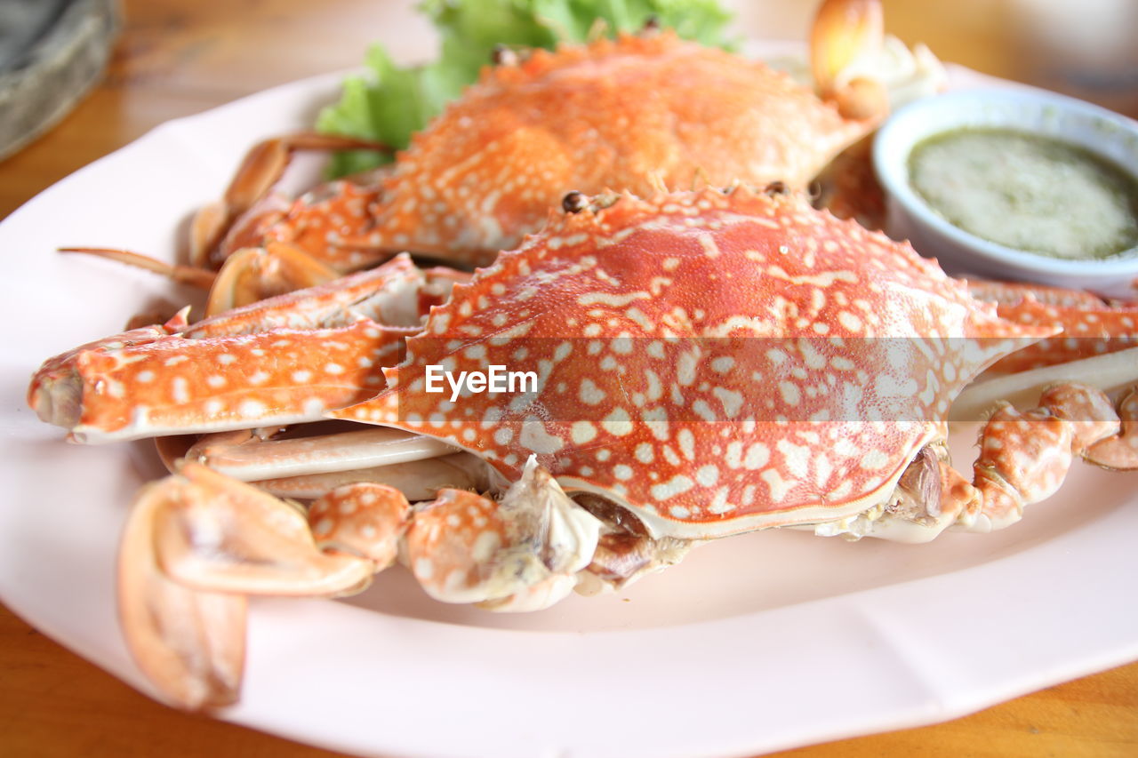 HIGH ANGLE VIEW OF SEAFOOD IN PLATE