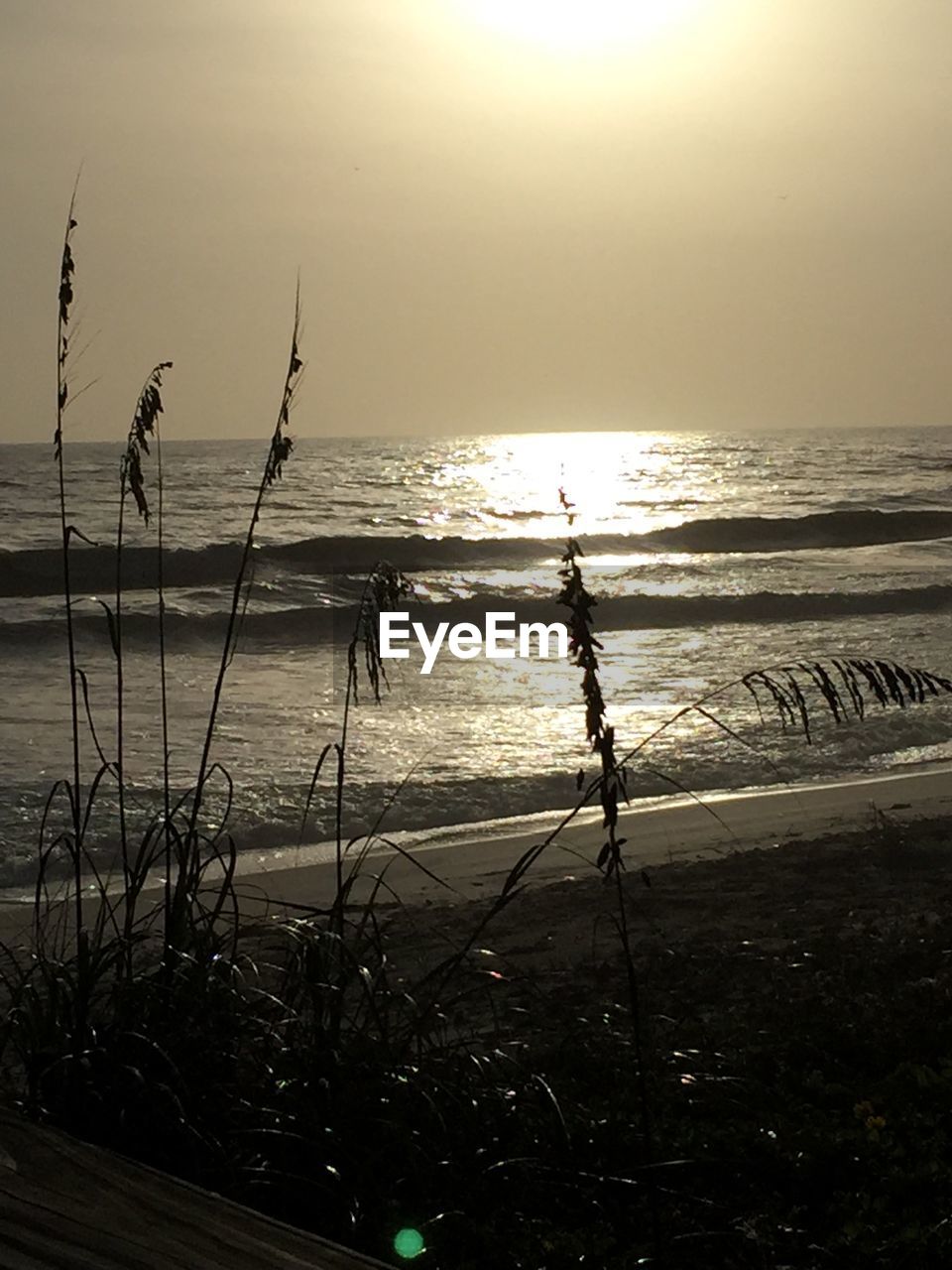 SILHOUETTE OF PEOPLE ON BEACH