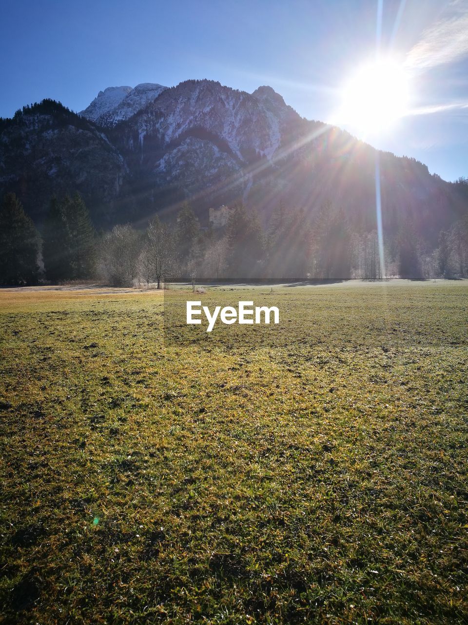 Scenic view of field and mountain including neuschwanstein castle against bright sun