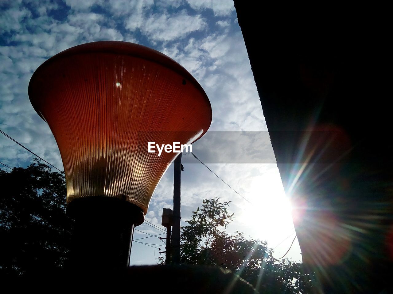 LOW ANGLE VIEW OF SUNLIGHT