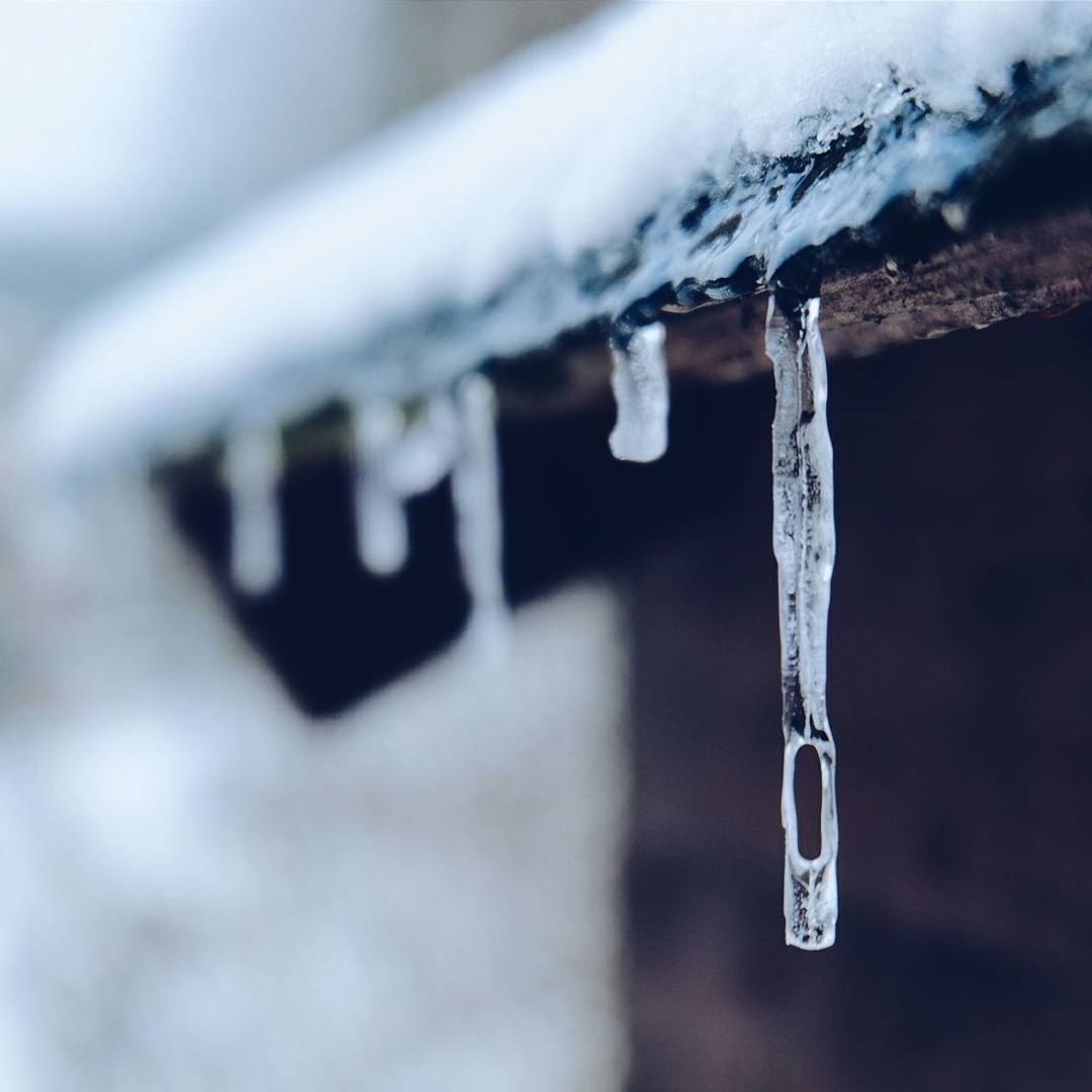 CLOSE-UP OF ICICLES HANGING FROM ROOF AGAINST SNOW