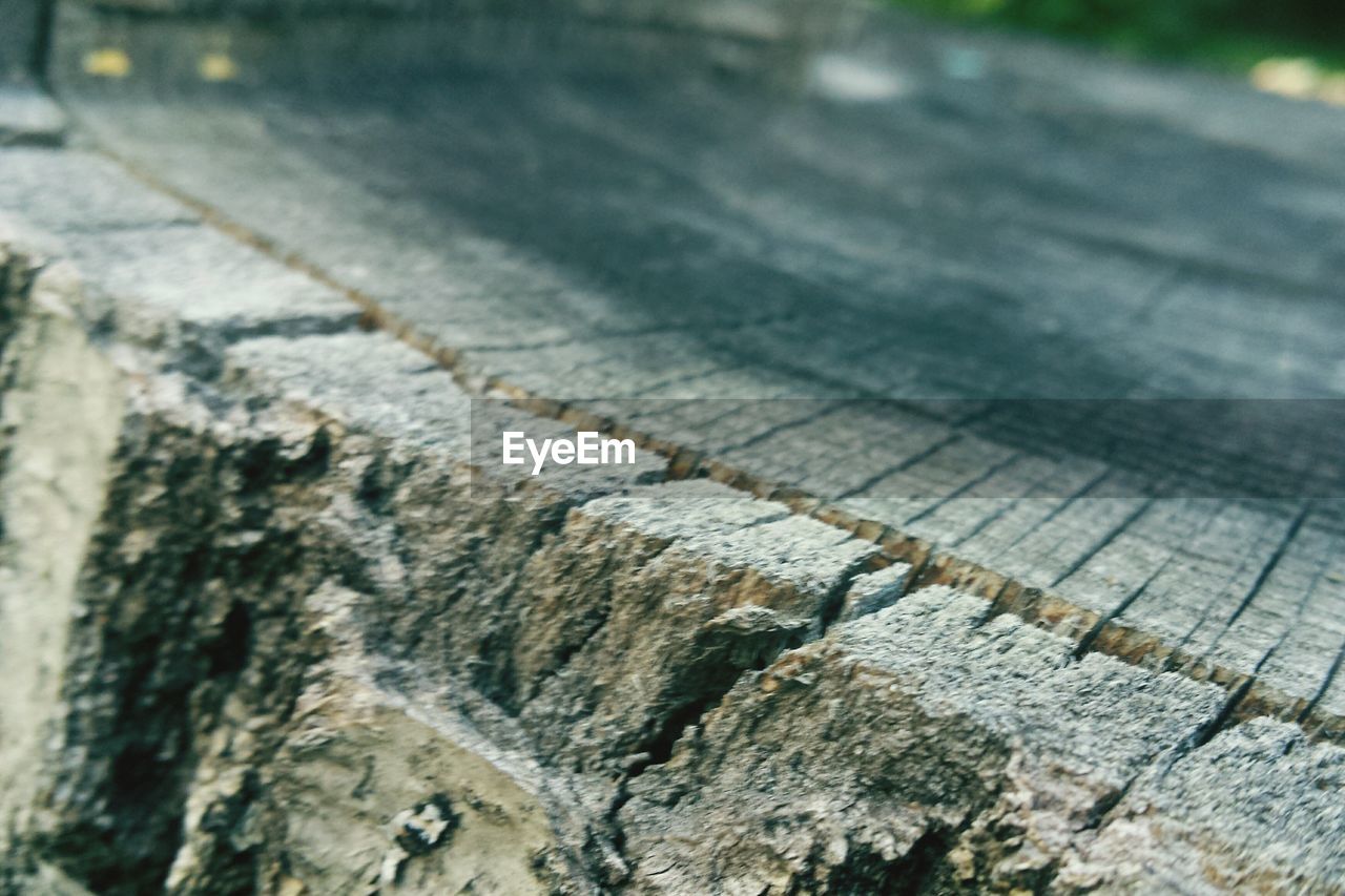 HIGH ANGLE VIEW OF ROCKS BY TREE