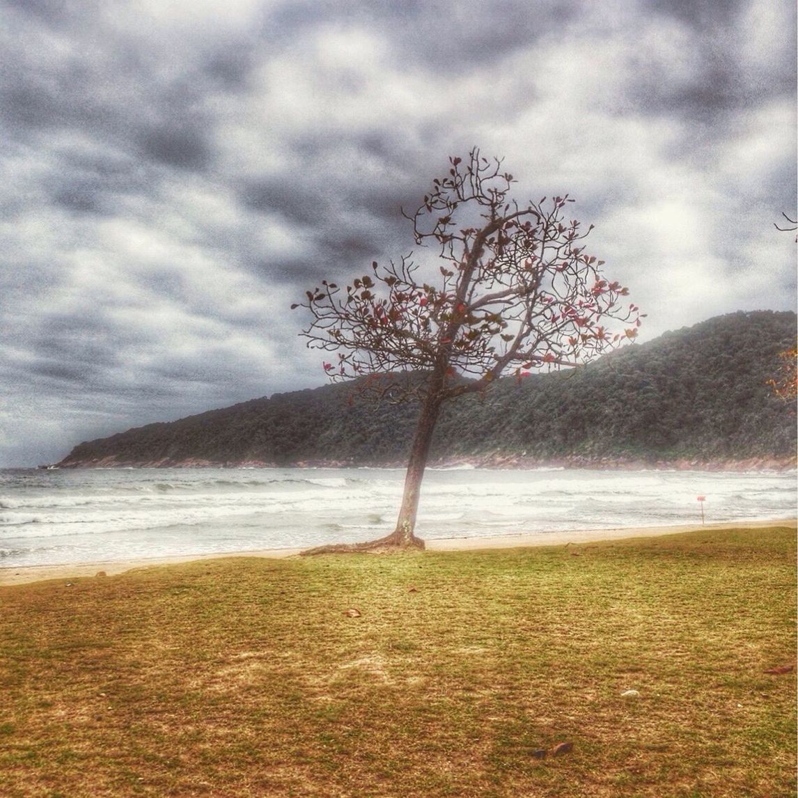 SCENIC VIEW OF LANDSCAPE AGAINST CLOUDY SKY