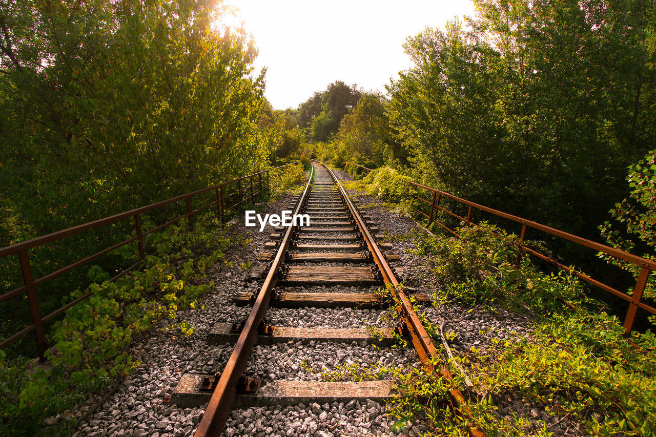 Railroad tracks amidst trees against clear sky