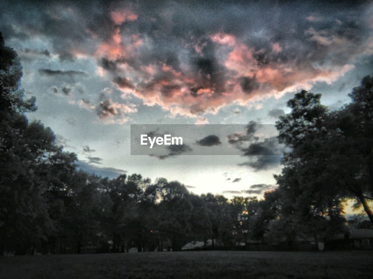 TREES ON FIELD AGAINST CLOUDY SKY