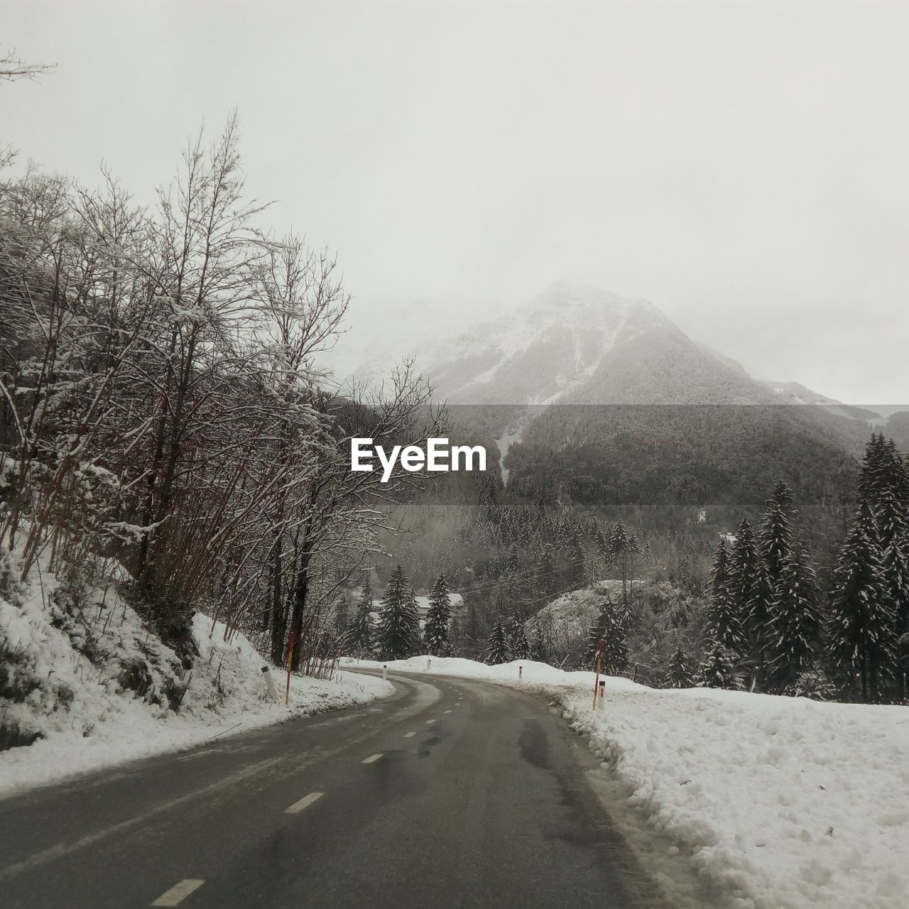 Road amidst trees against sky during winter