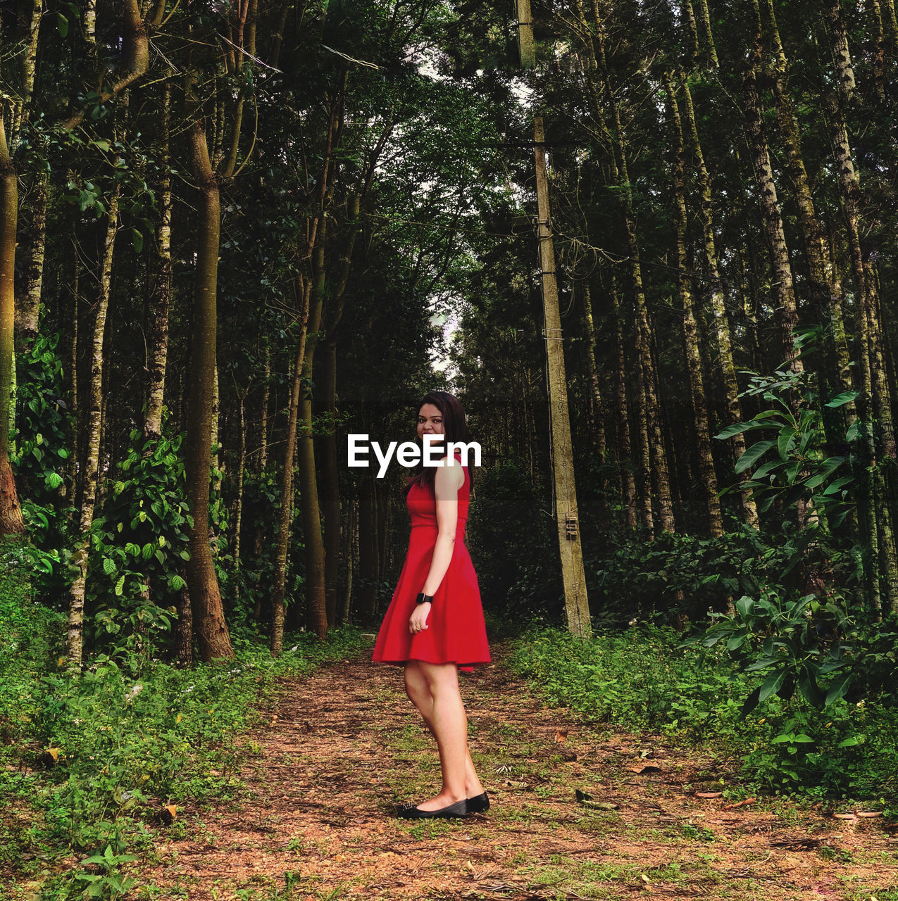 Side view of woman standing by trees in forest