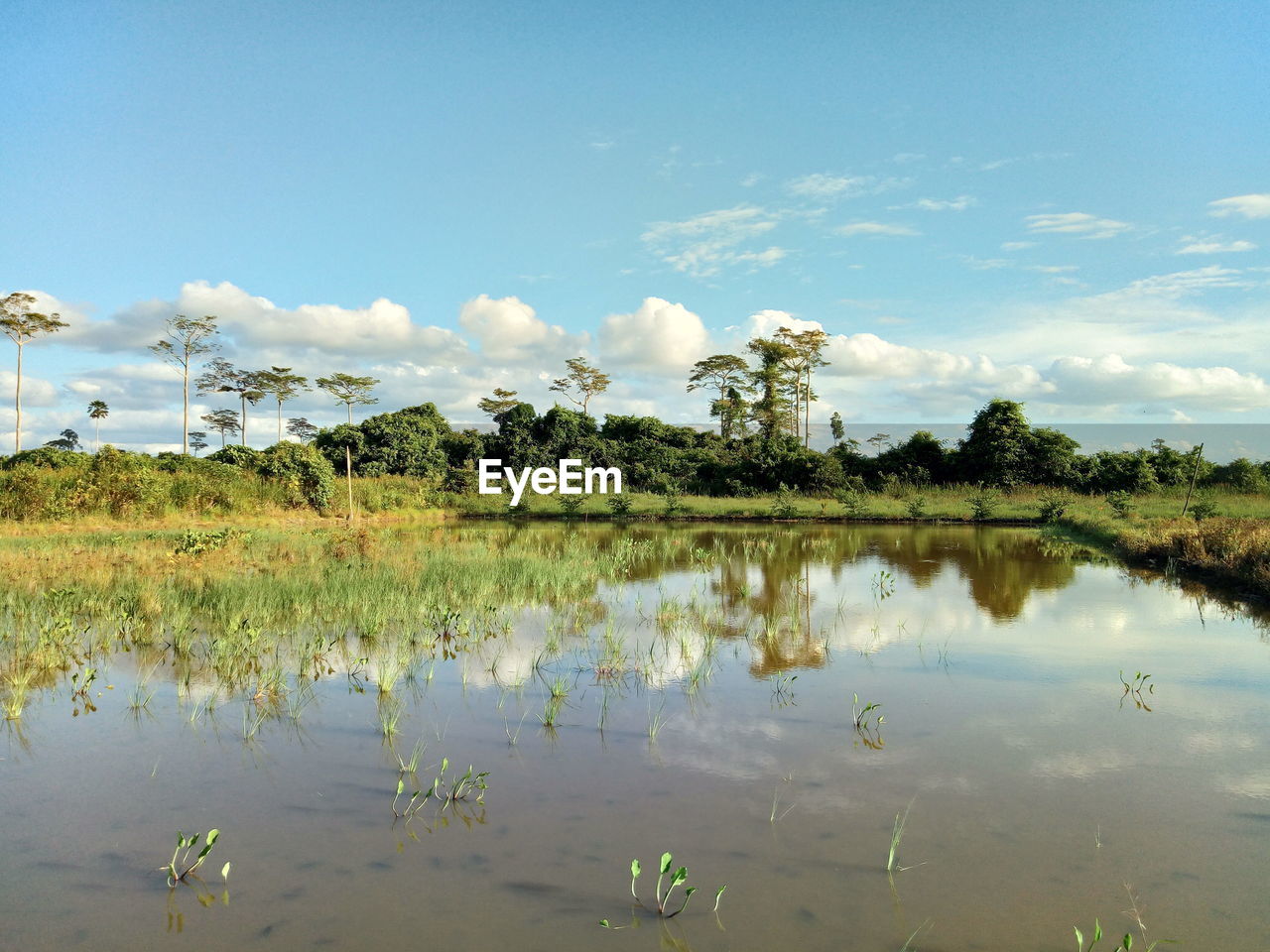 Scenic view of lake against sky