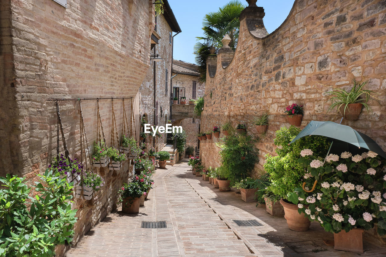 Flowery alley in the historic center of spello umbria