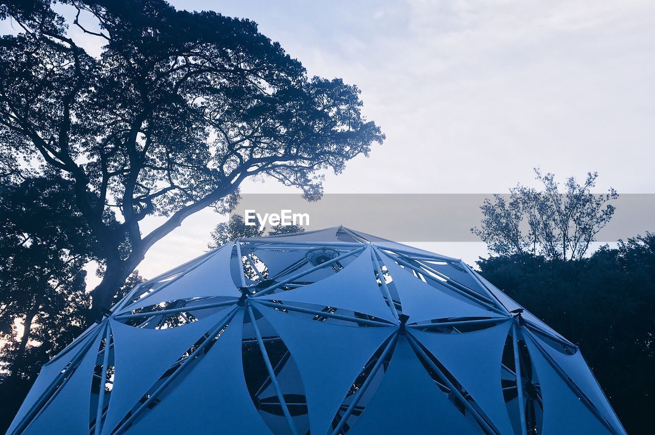 LOW ANGLE VIEW OF TENT ON TREE AGAINST SKY