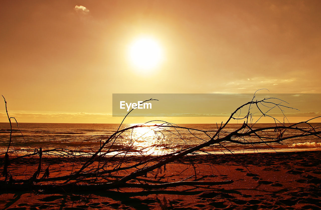 Silhouette of beach against sky during sunset