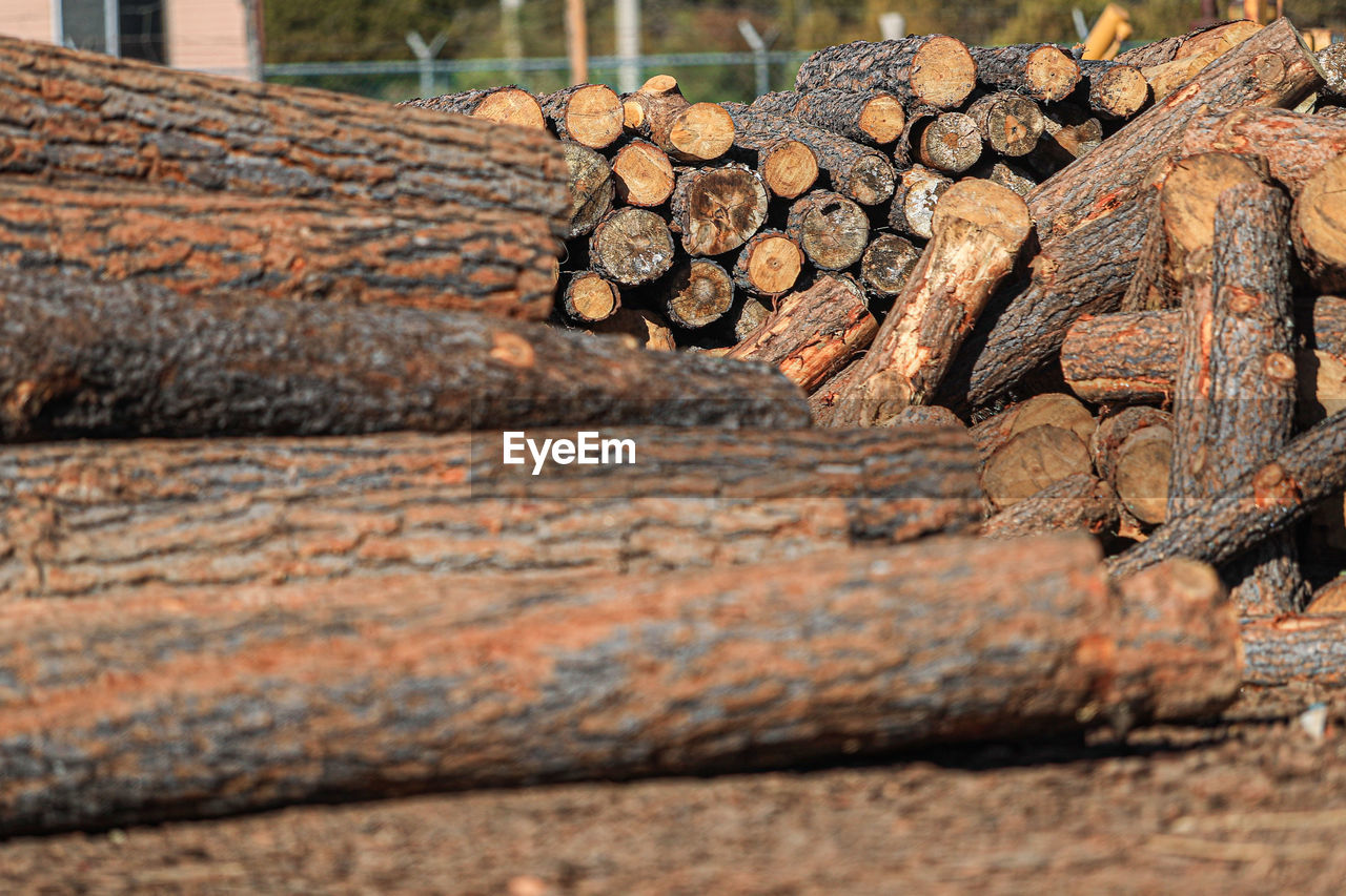 wood, log, timber, firewood, tree, lumber industry, deforestation, forest, soil, environmental issues, trunk, logging, nature, lumber, large group of objects, no people, close-up, rock, day, abundance, power generation, outdoors, fossil fuel, selective focus, heap, textured, branch, iron, woodpile, architecture, land, environmental damage, brown