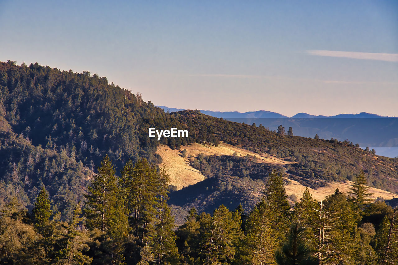 SCENIC VIEW OF MOUNTAIN AGAINST SKY