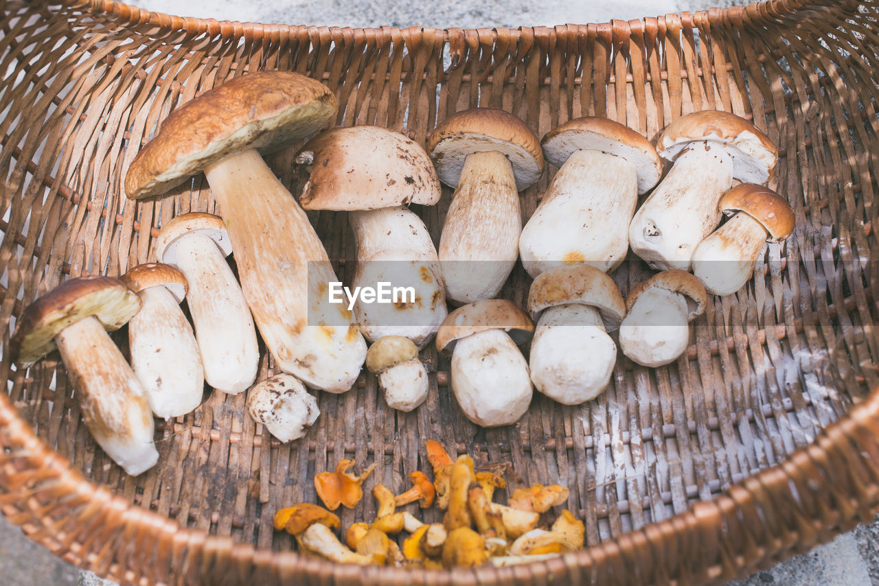 High angle view of mushrooms in basket