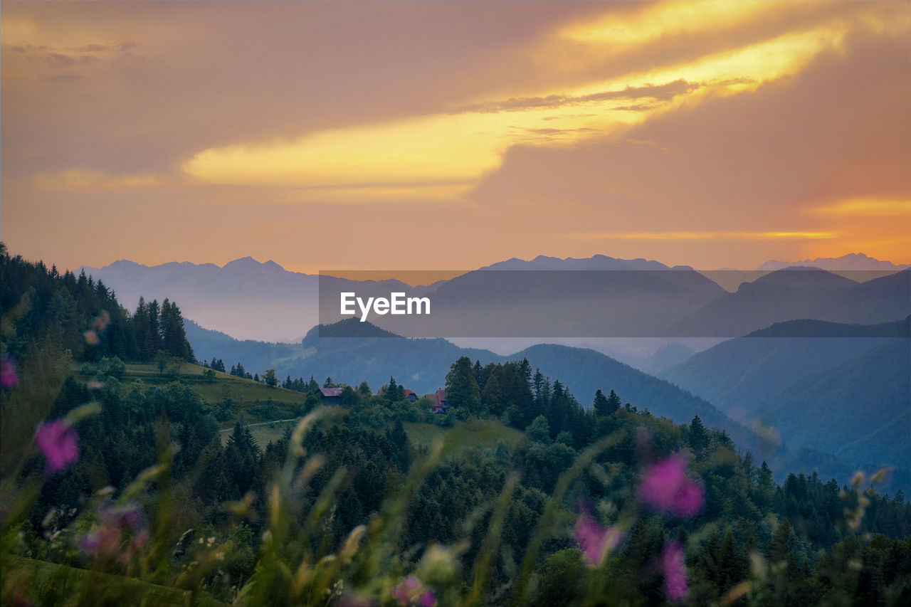 SCENIC VIEW OF TREES AND MOUNTAINS AGAINST SKY DURING SUNSET