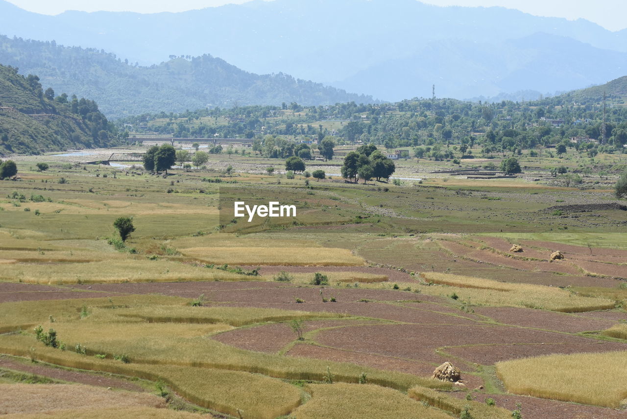 SCENIC VIEW OF AGRICULTURAL FIELD AGAINST MOUNTAINS