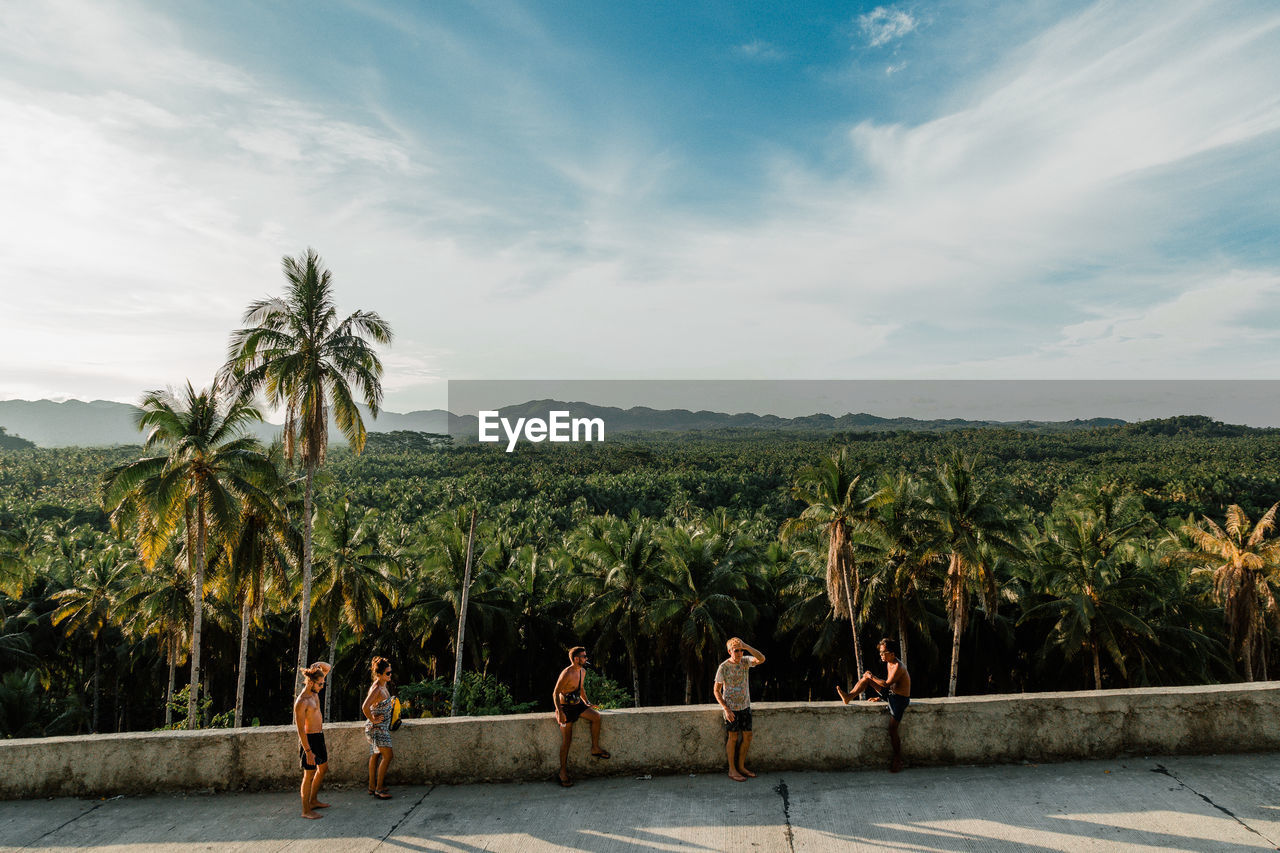 GROUP OF PEOPLE ON PALM TREES