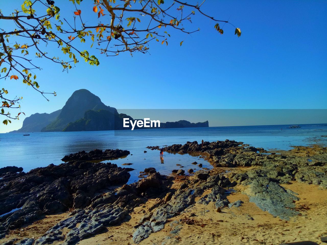 SCENIC VIEW OF BEACH AGAINST CLEAR BLUE SKY