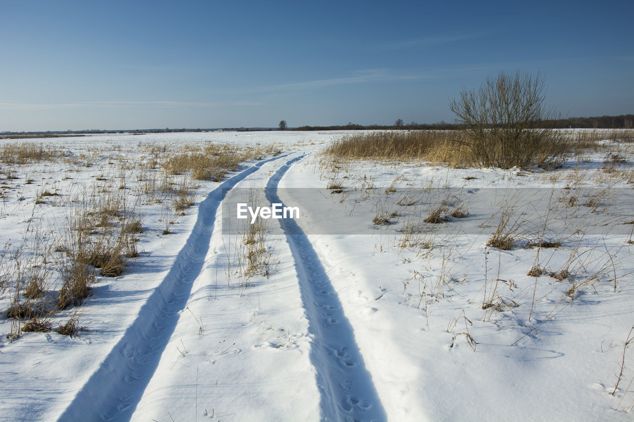 Snowy road through wild meadows, horizon and sky, winter view