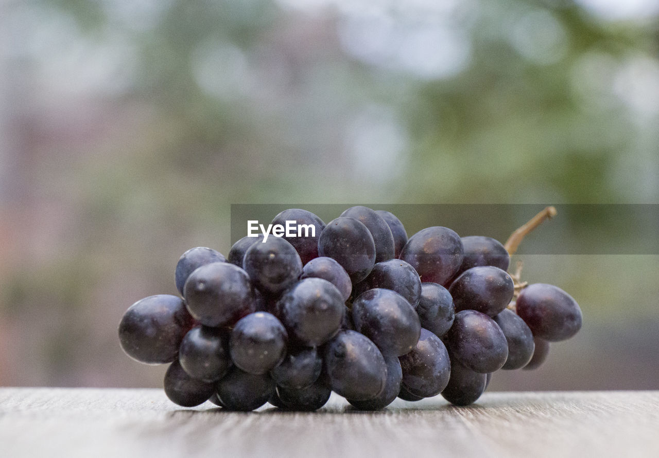 CLOSE-UP OF GRAPES ON TABLE OUTDOORS