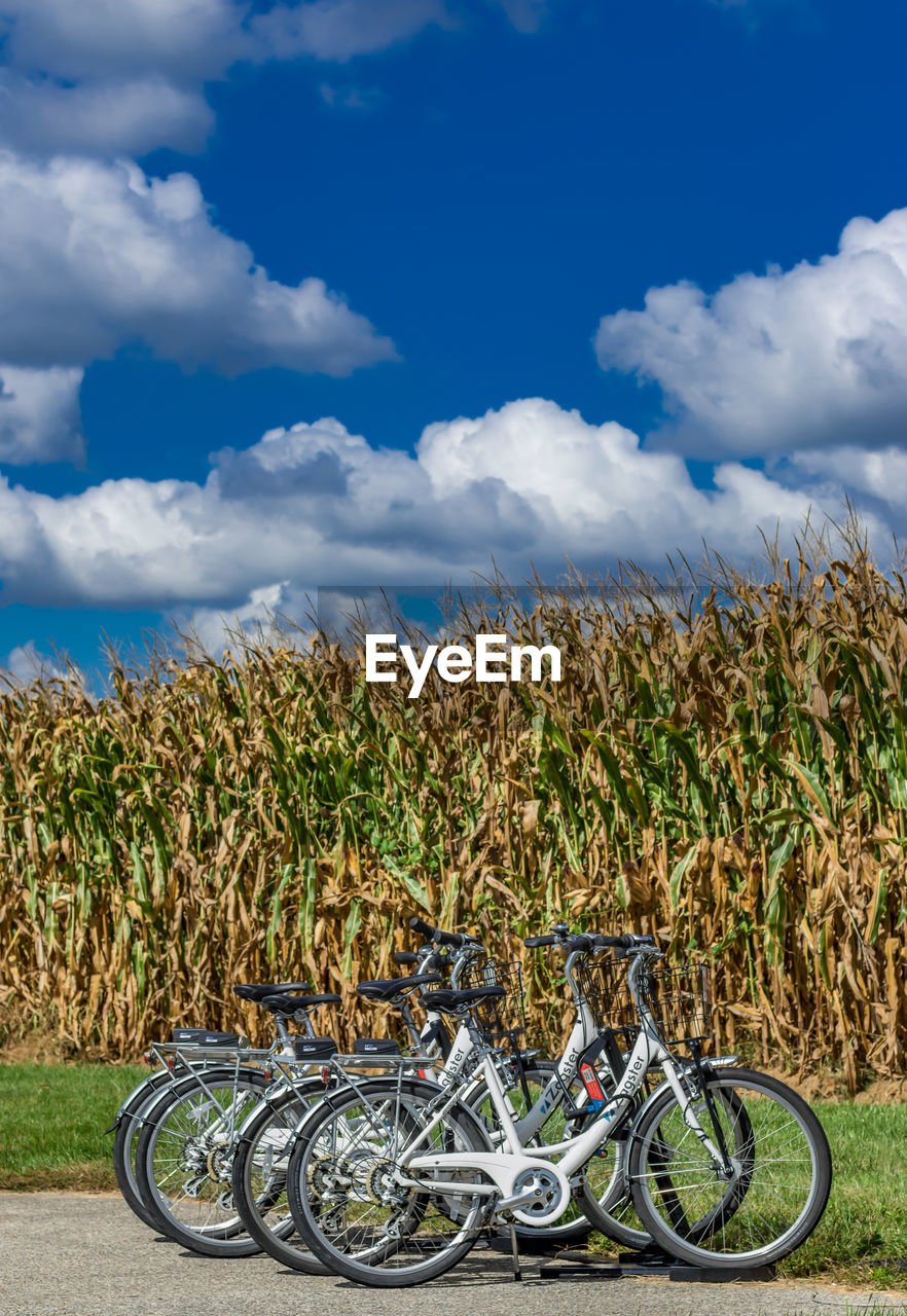 BICYCLES ON FIELD