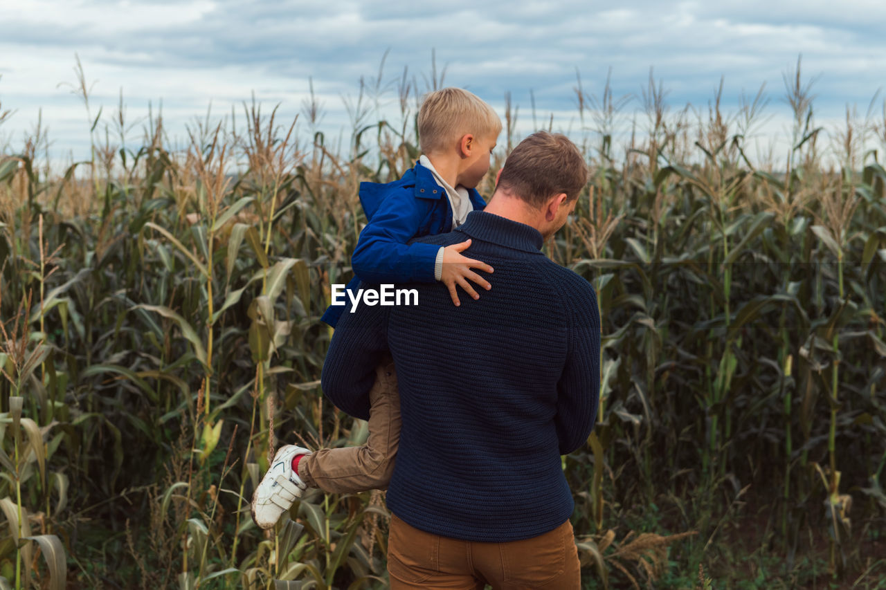 Family walking in corn field at autumn, dad and son posing among high plants