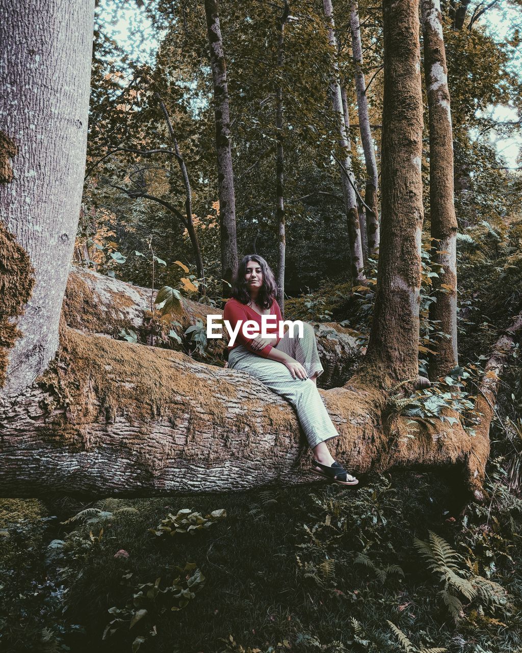 Portrait of woman sitting on tree trunk in forest